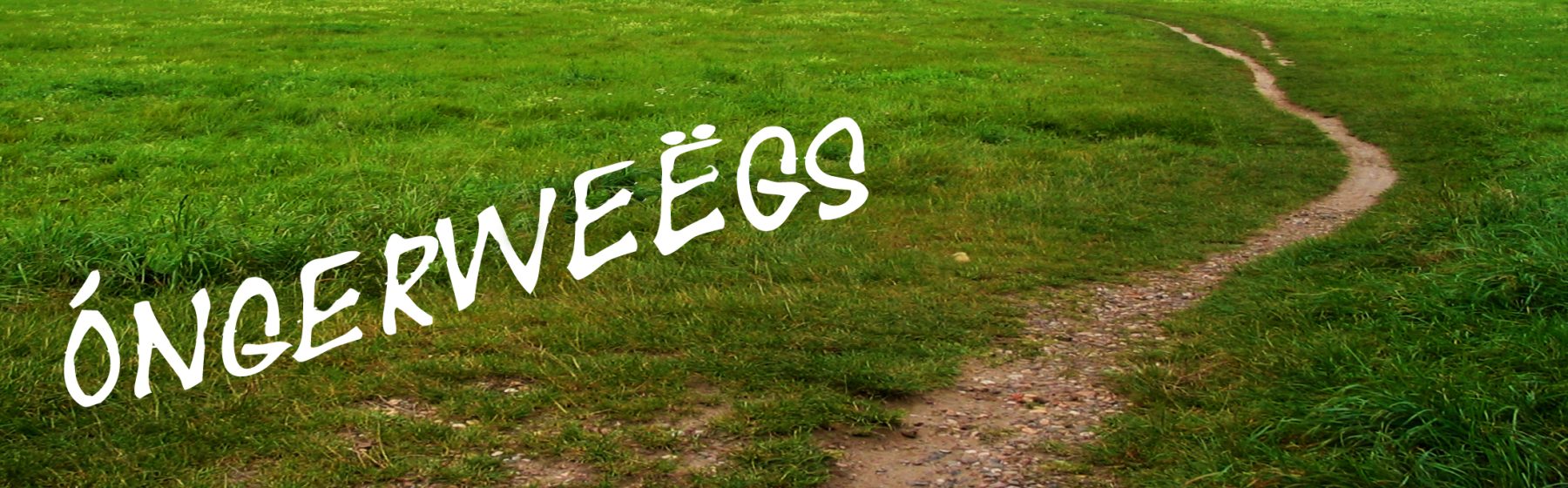ongerweegs